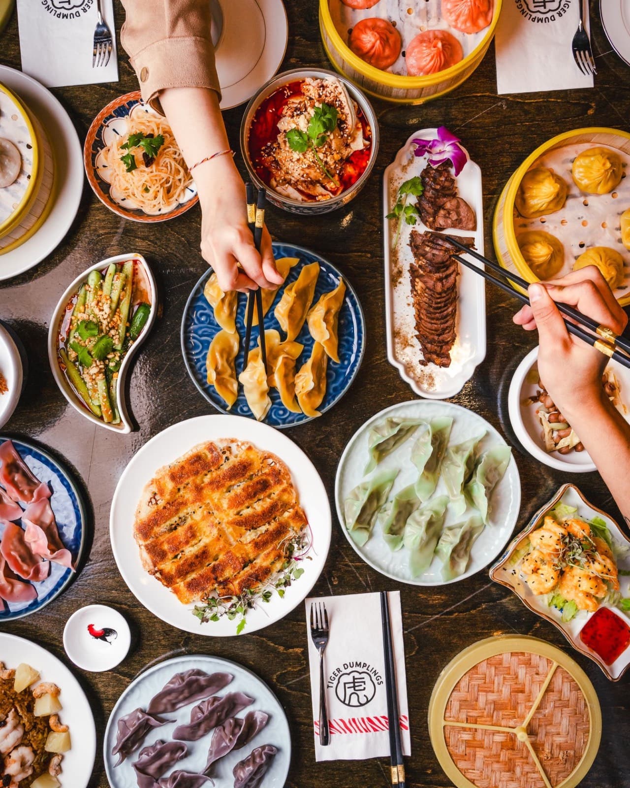 A table covered in dumplings, noodles and shared plates